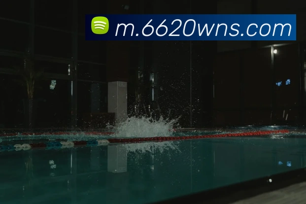 澳门威尼斯人网站平台生态图